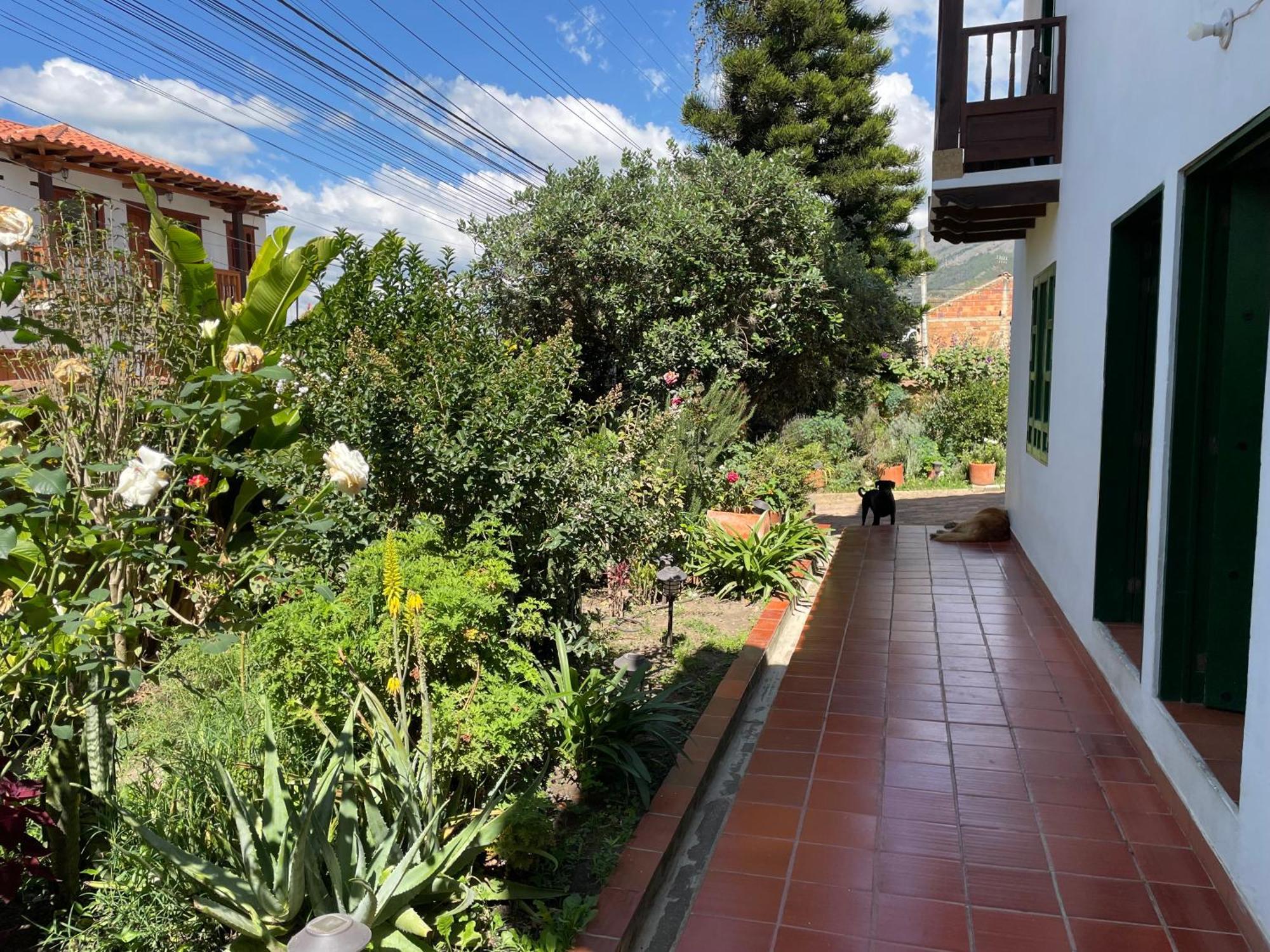 El Pino Pensión